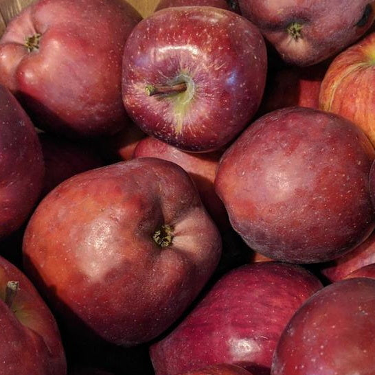 Red Delicious Apple