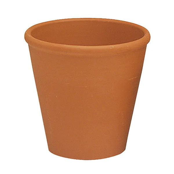 German Rose Pot, Terrra Cotta