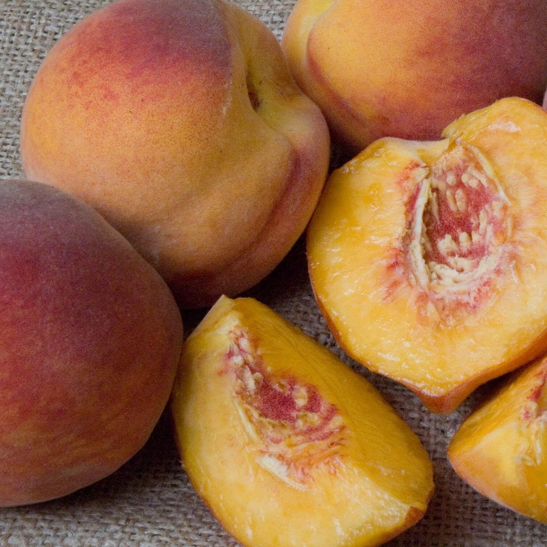 Redhaven Peach