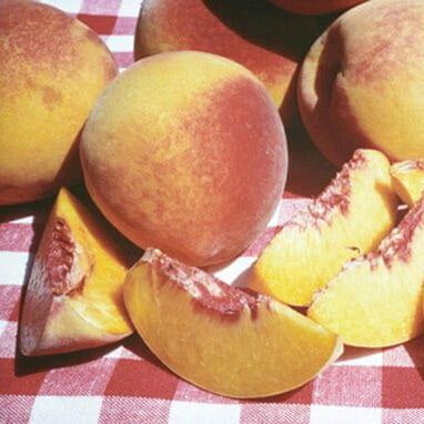 July Elberta Peach