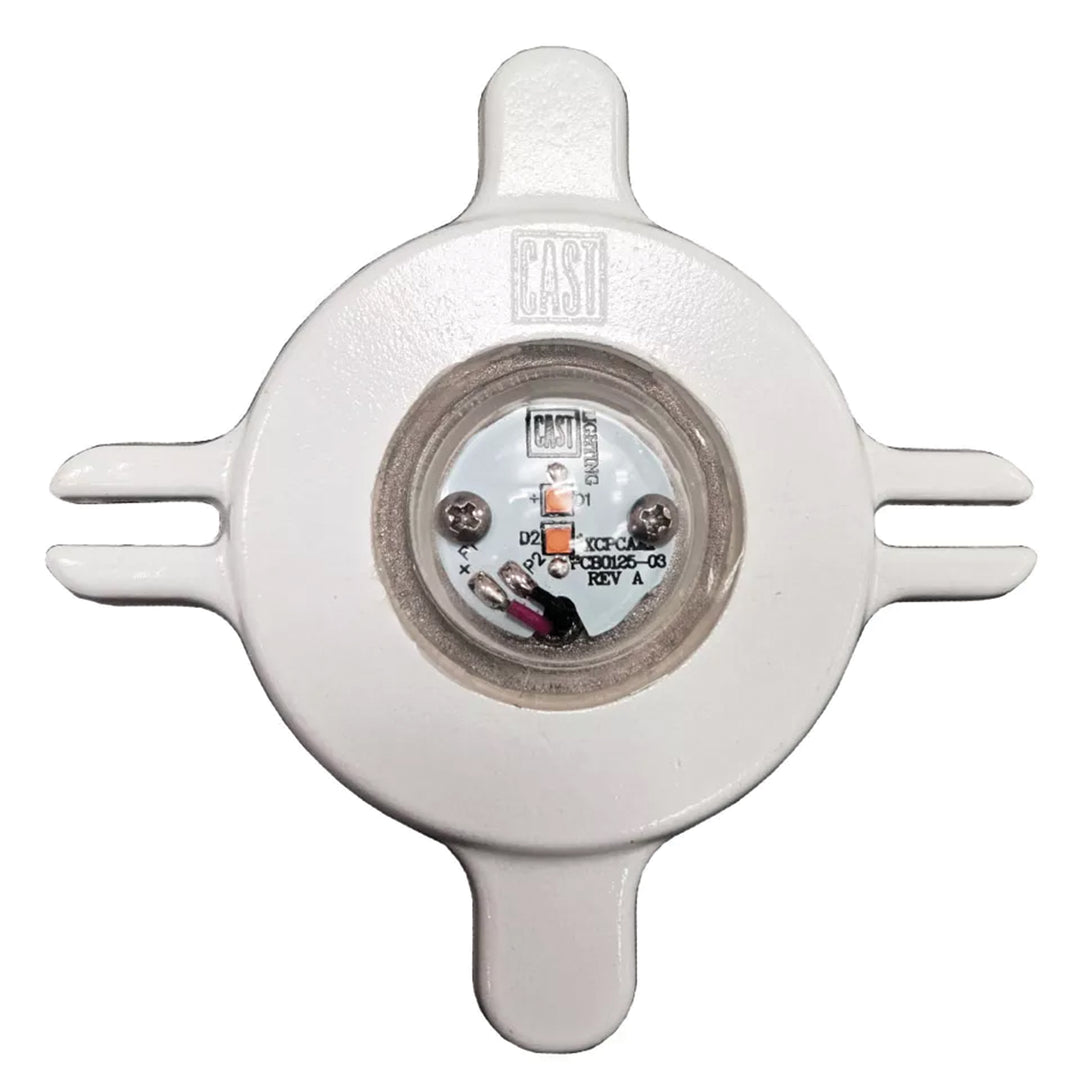 CAST LED Path Light Retrofit Module