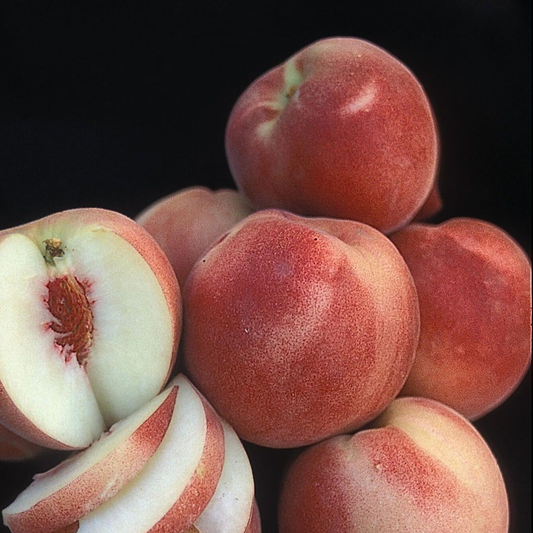 White Lady Peach
