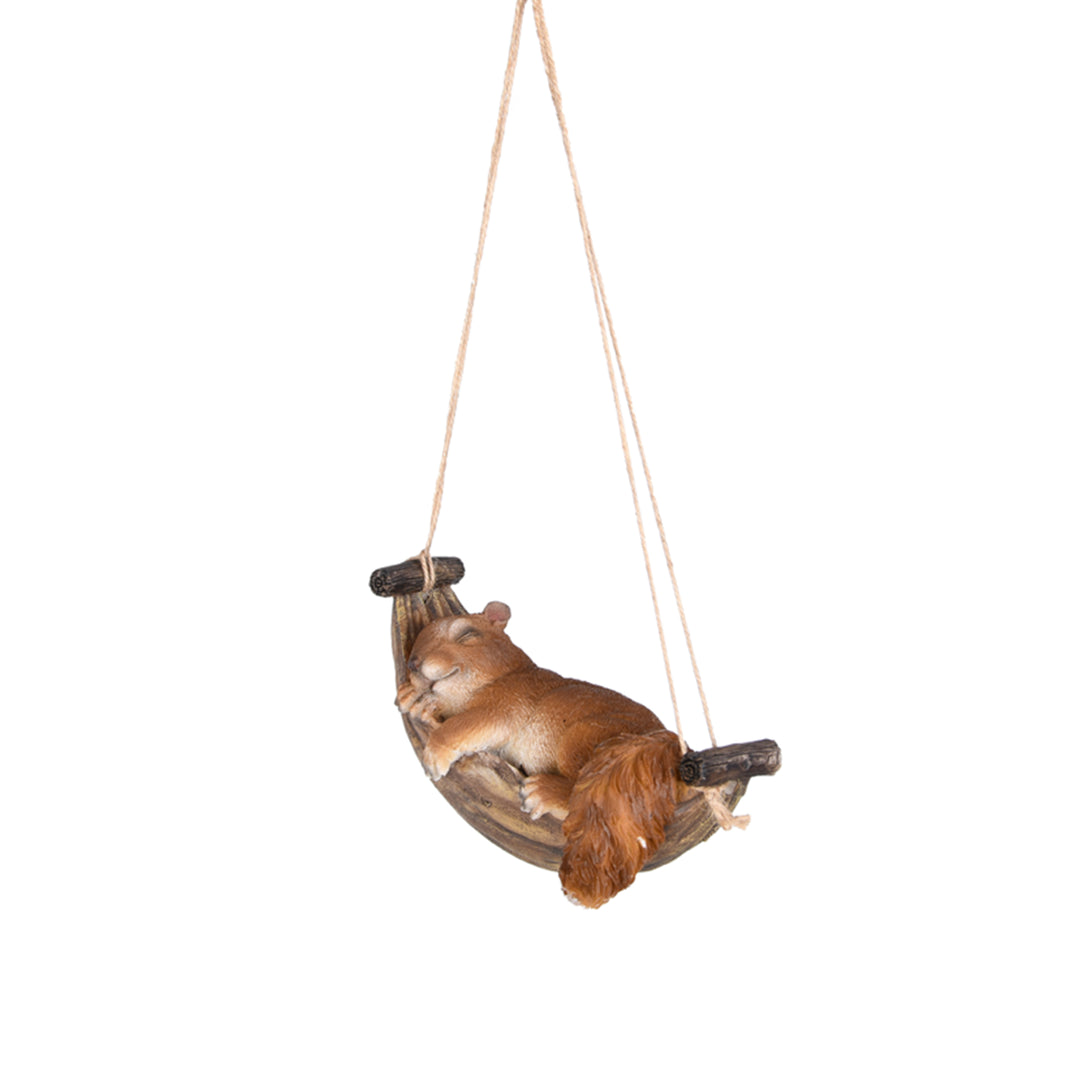 Squirrel in Hammock