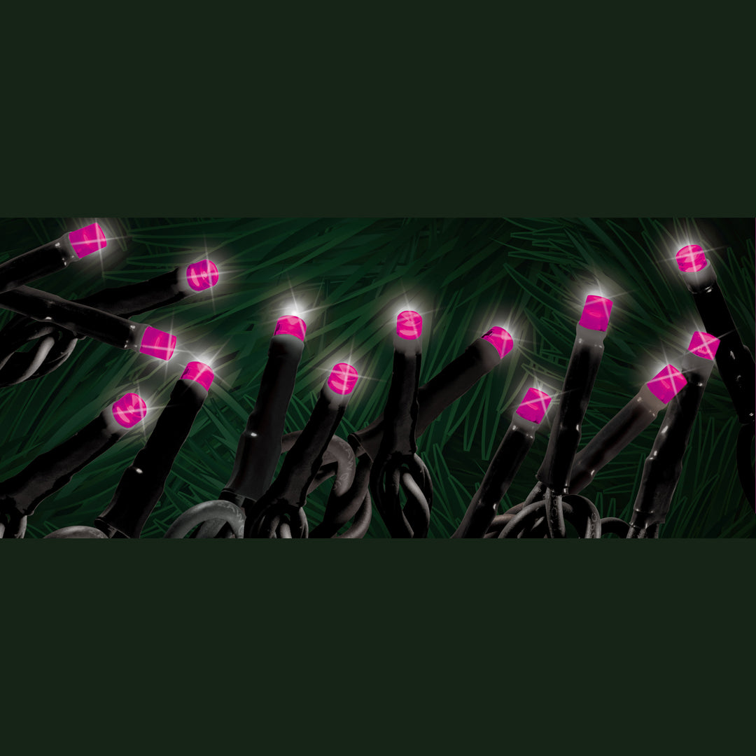 Spooky Twinkling "Starry-Pro Lights" 100L LED String Set Purple