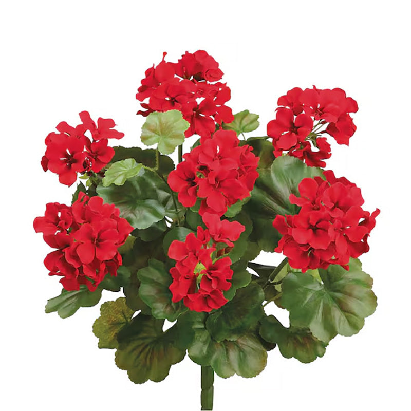 Water Resistant Red Geranium Bush