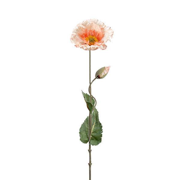 Poppy Spray Coral Cream