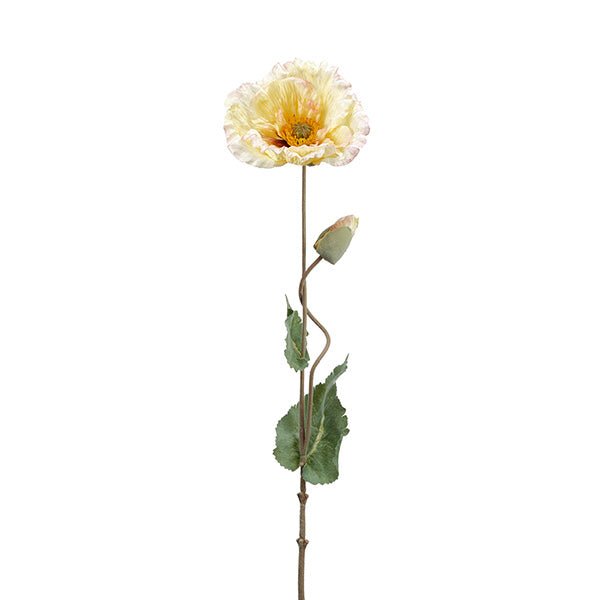 Poppy Spray Yellow