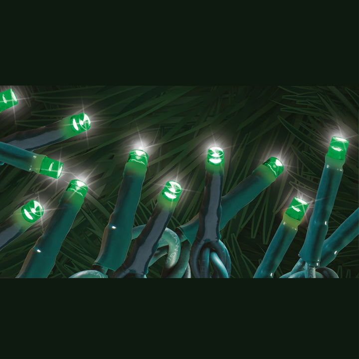 Steady "Starry-Pro Lights" 100L LED String Set Green Green