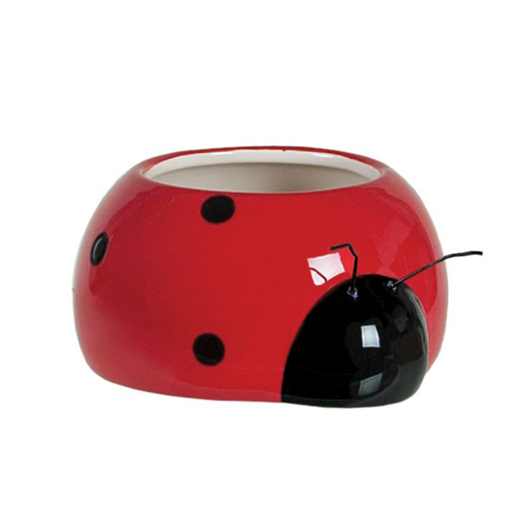 Ceramic Ladybug Planter