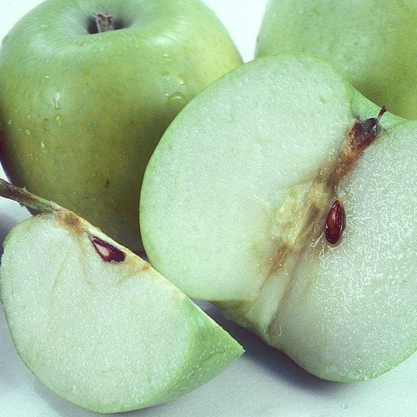 Crispin Apple