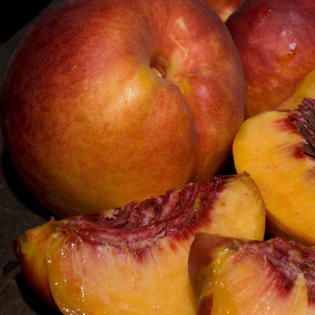 Fantasia Nectarine
