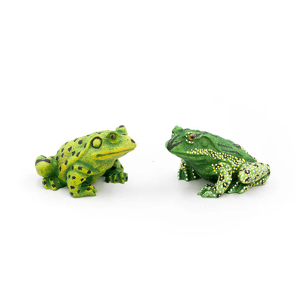 Spotted Frog