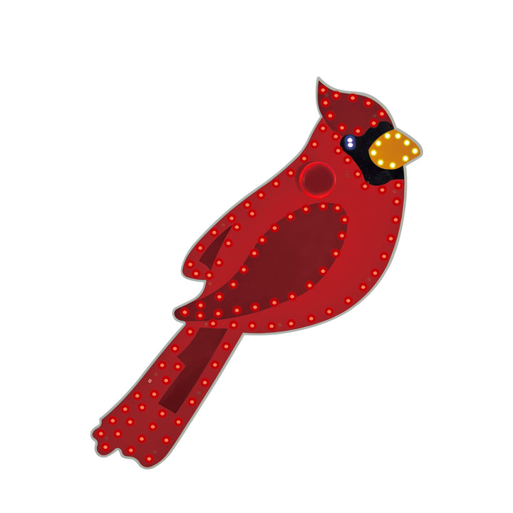 Hi-Vibrant Cardinal LED Light Display
