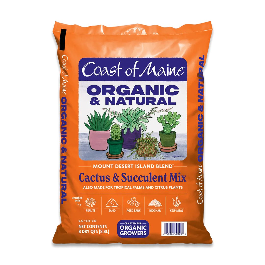Coast of Maine Cactus & Succulent Mix