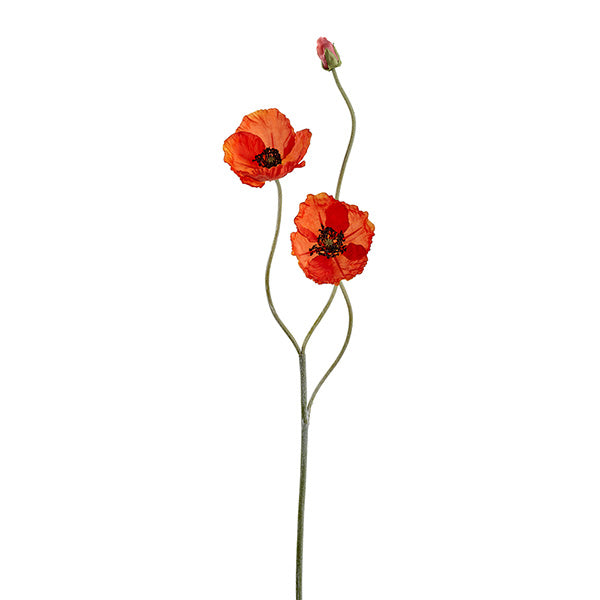 Orange Poppy Spray