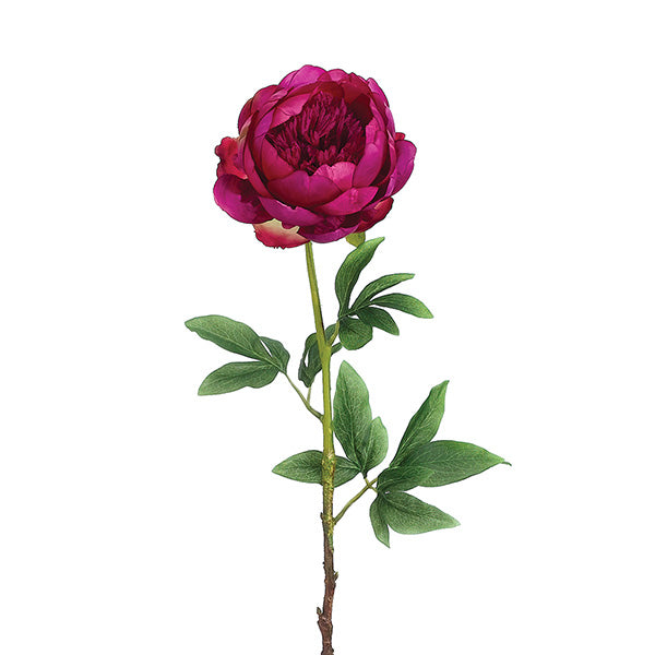Rubrum Peony Spray