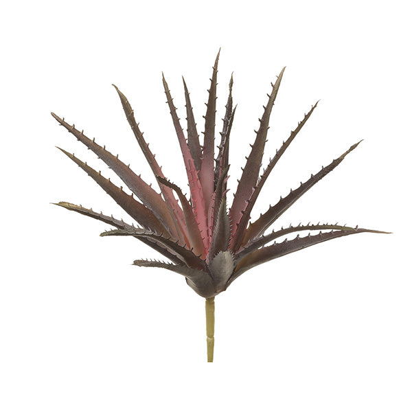 Aloe Pick