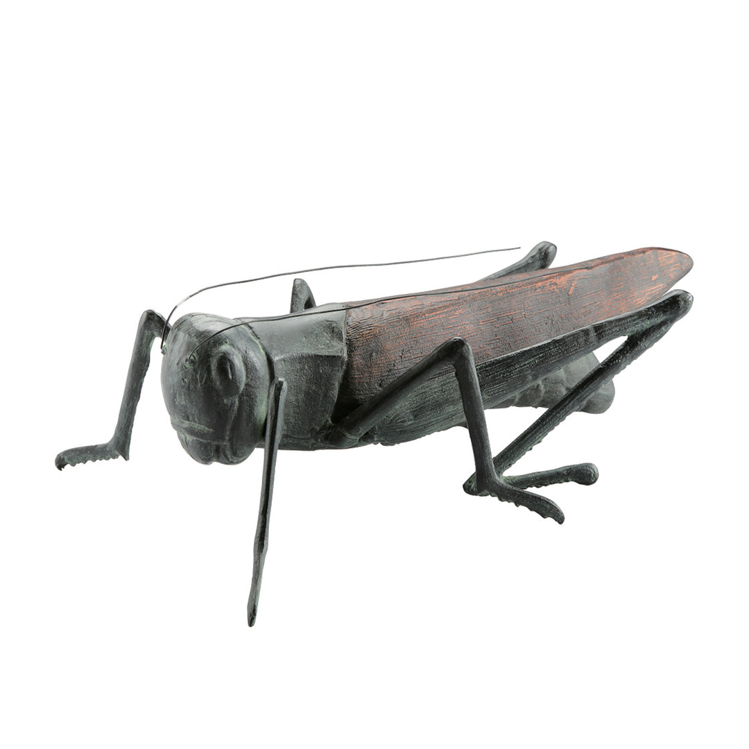 Garden Cricket