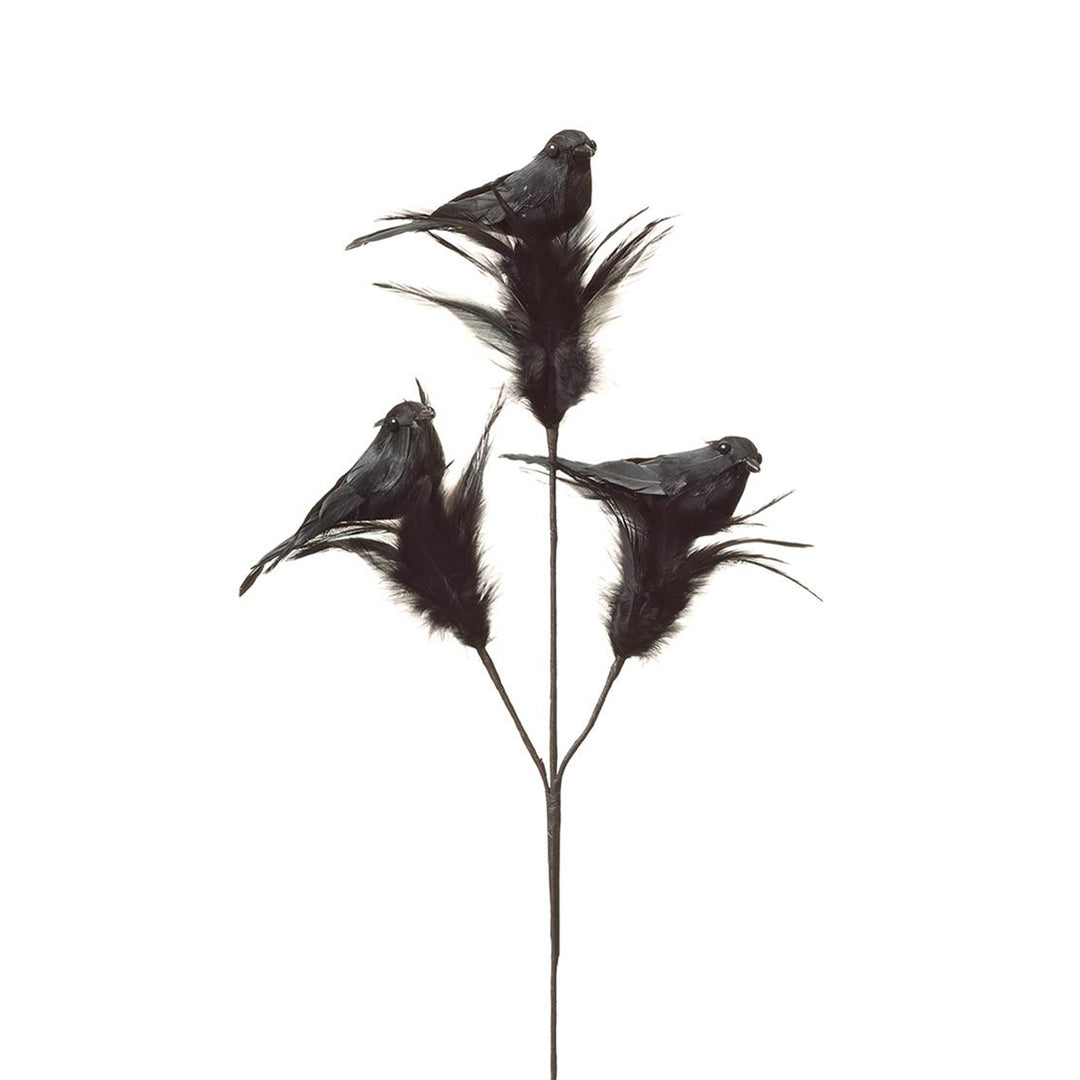 Black Crow Feather Spray