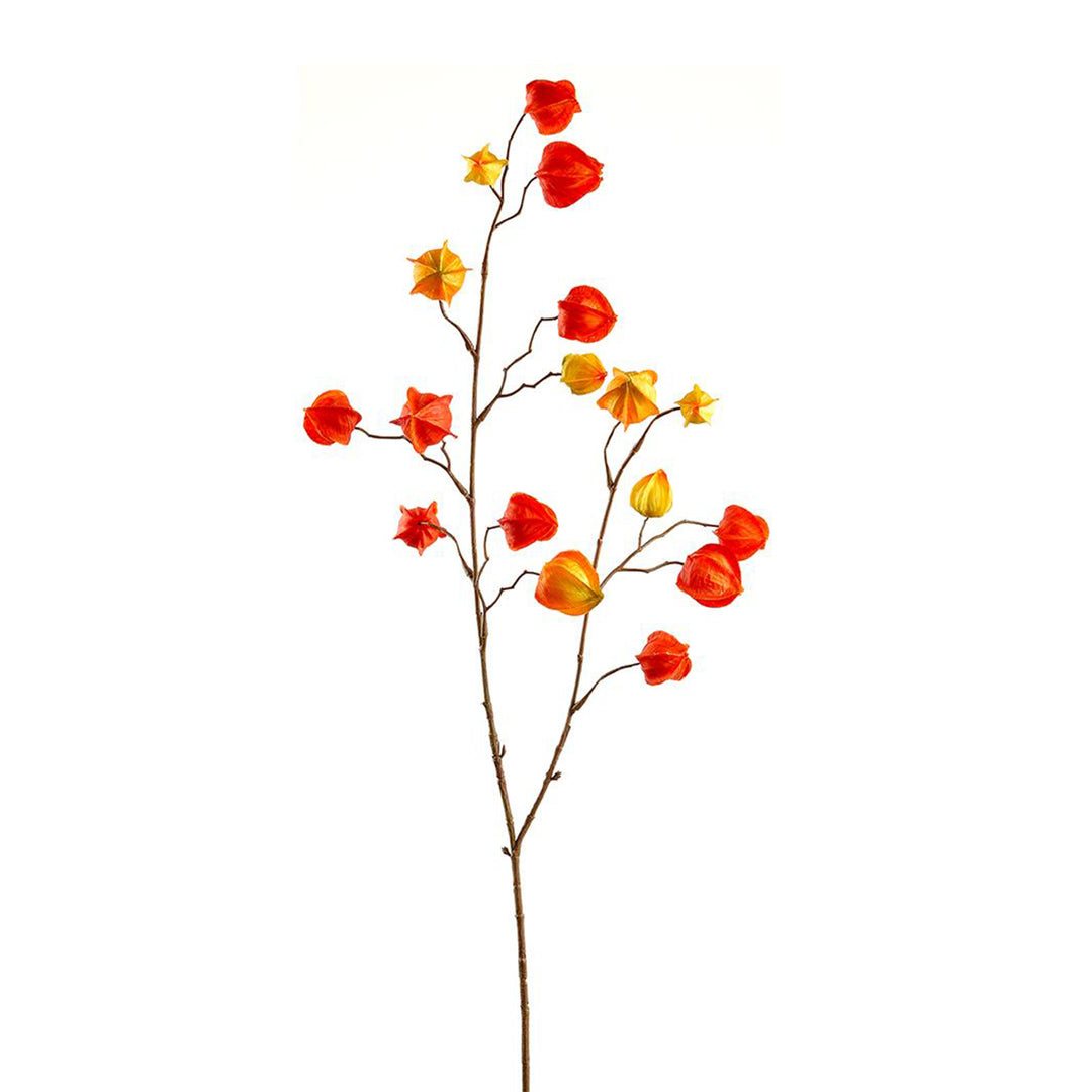 Orange & Yellow Chinese Lantern Spray