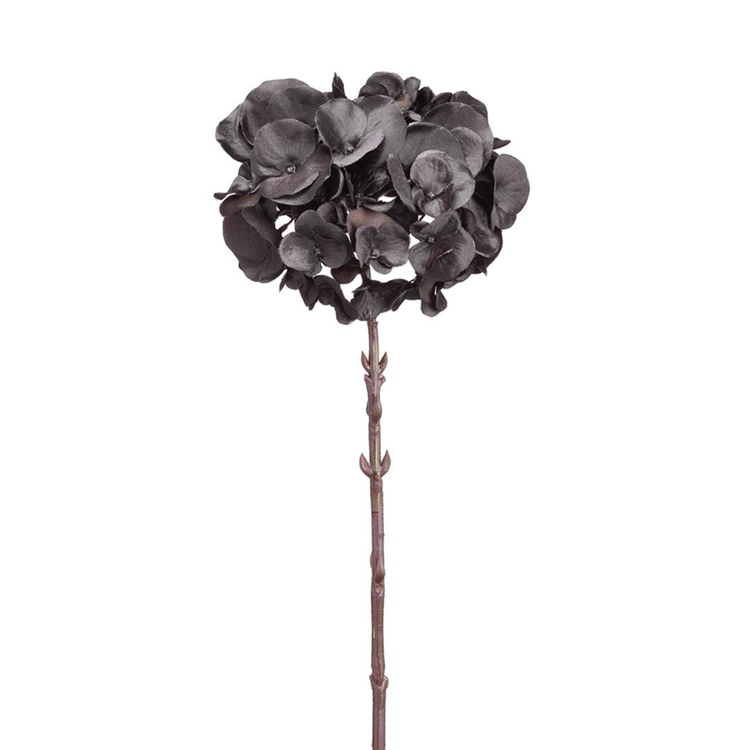 Black Hydrangea Spray