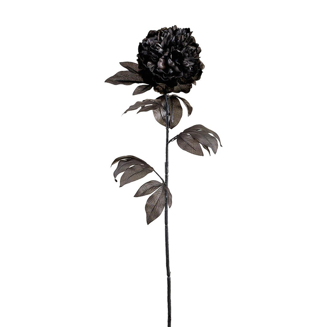 Black Peony Spray