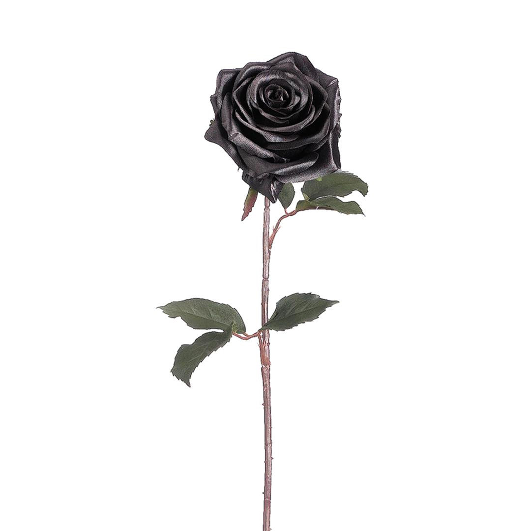 Black Magic Rose Spray