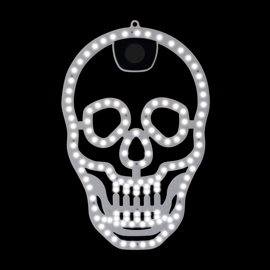 Hi-Vibrant Motion Skull