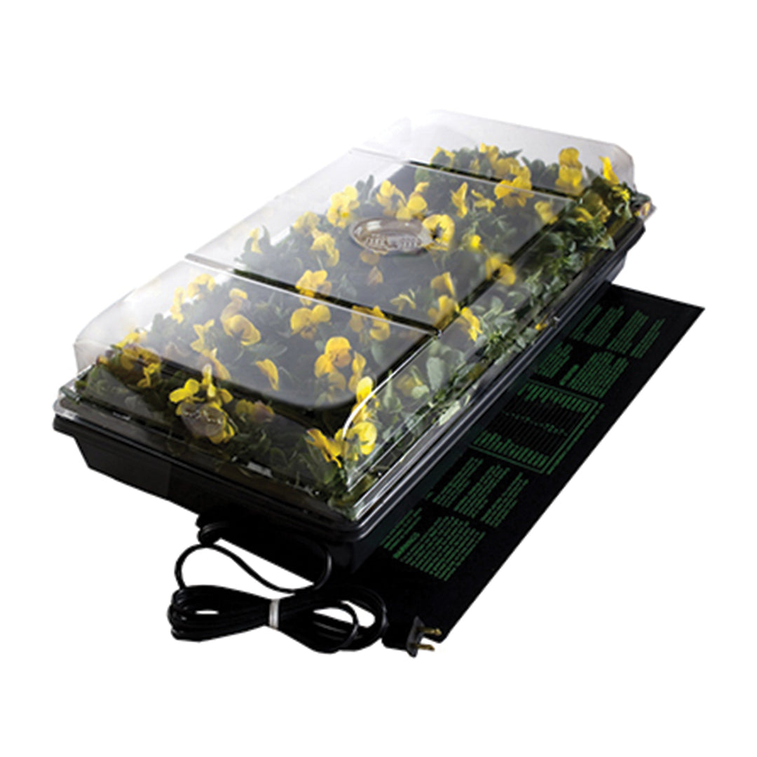 Indoor/Outdoor Plant Germination Station