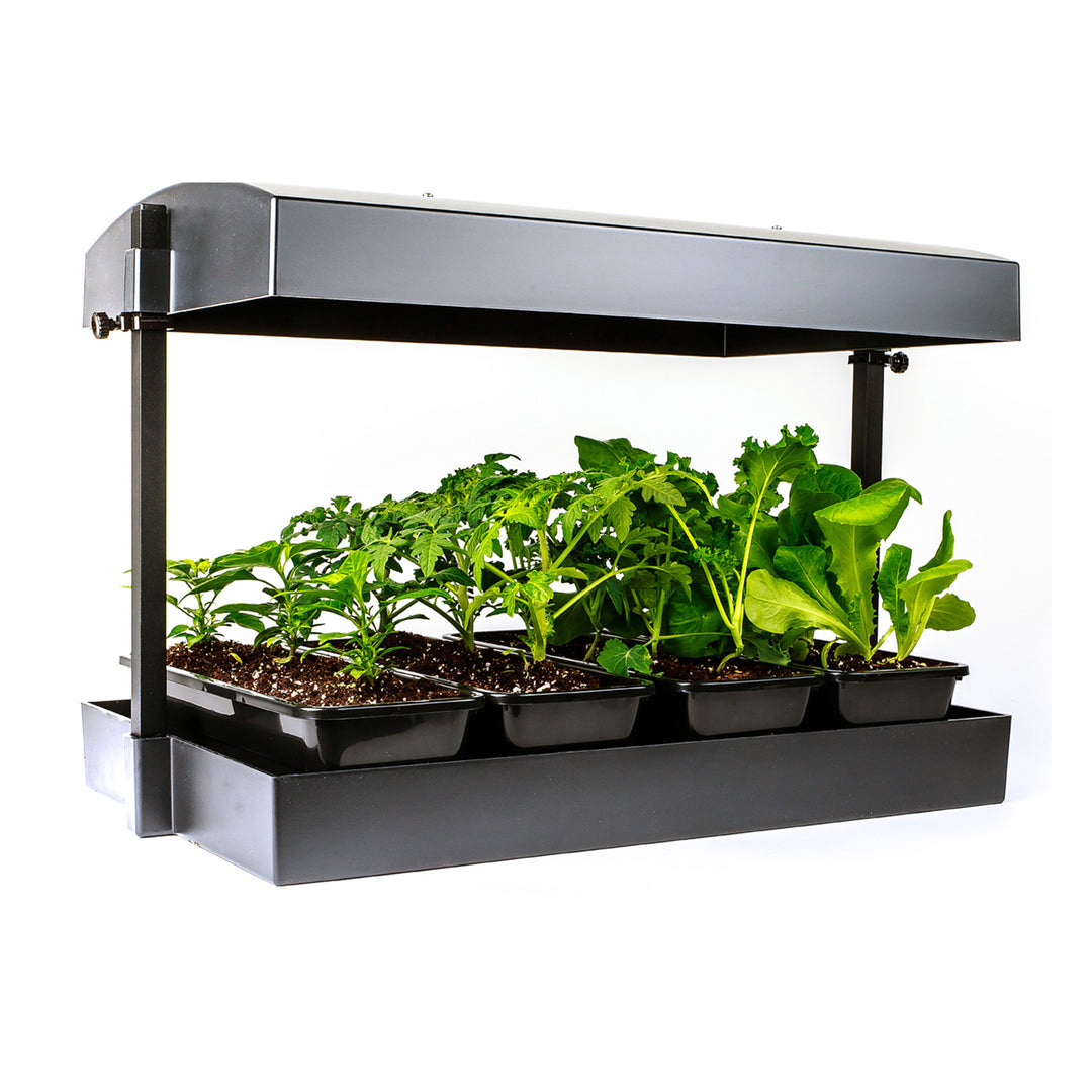 Grow Light Garden Kit