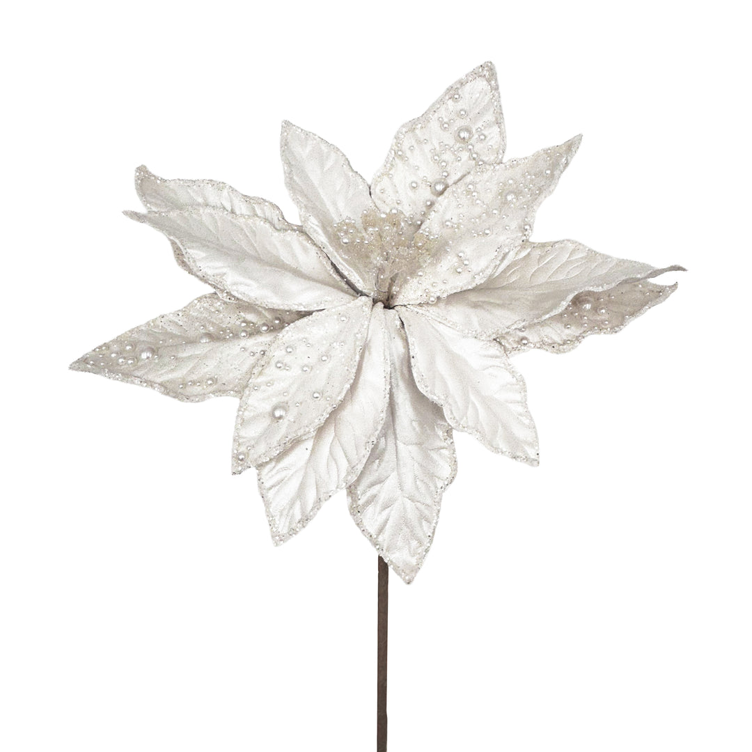 White Poinsettia Stem
