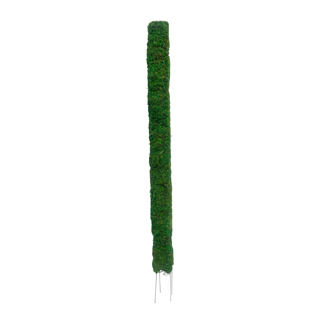 Moss Plant Stake