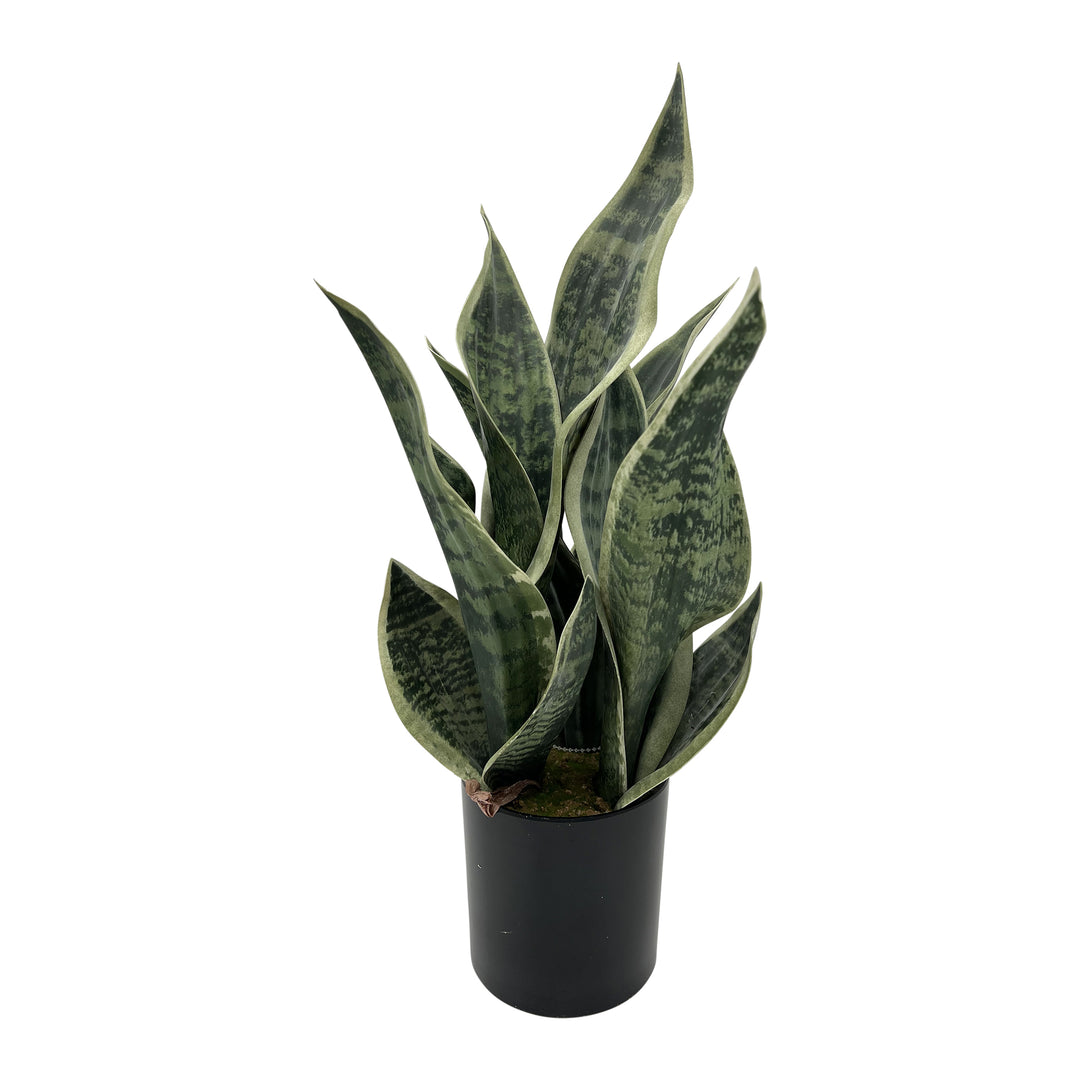 Faux Sansevieria in Black Pot