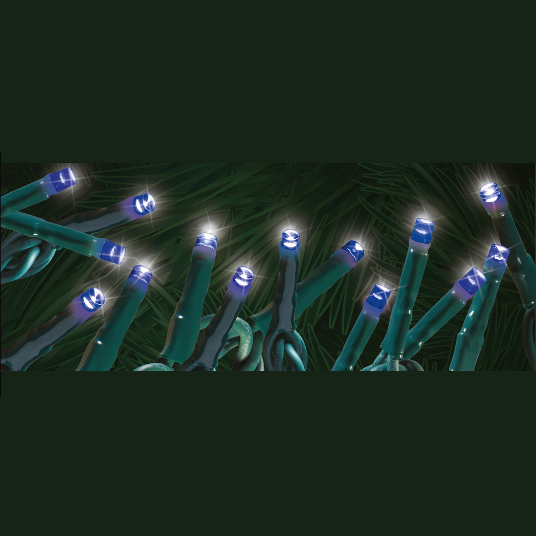 Steady "Starry-Pro Lights" 100L LED String Set Blue Green