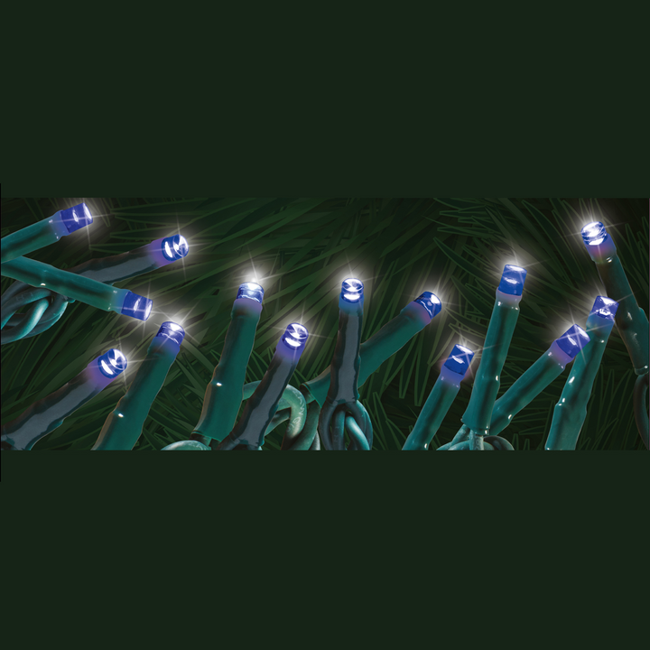 Steady "Starry-Pro Lights" 100L LED String Set Blue Green