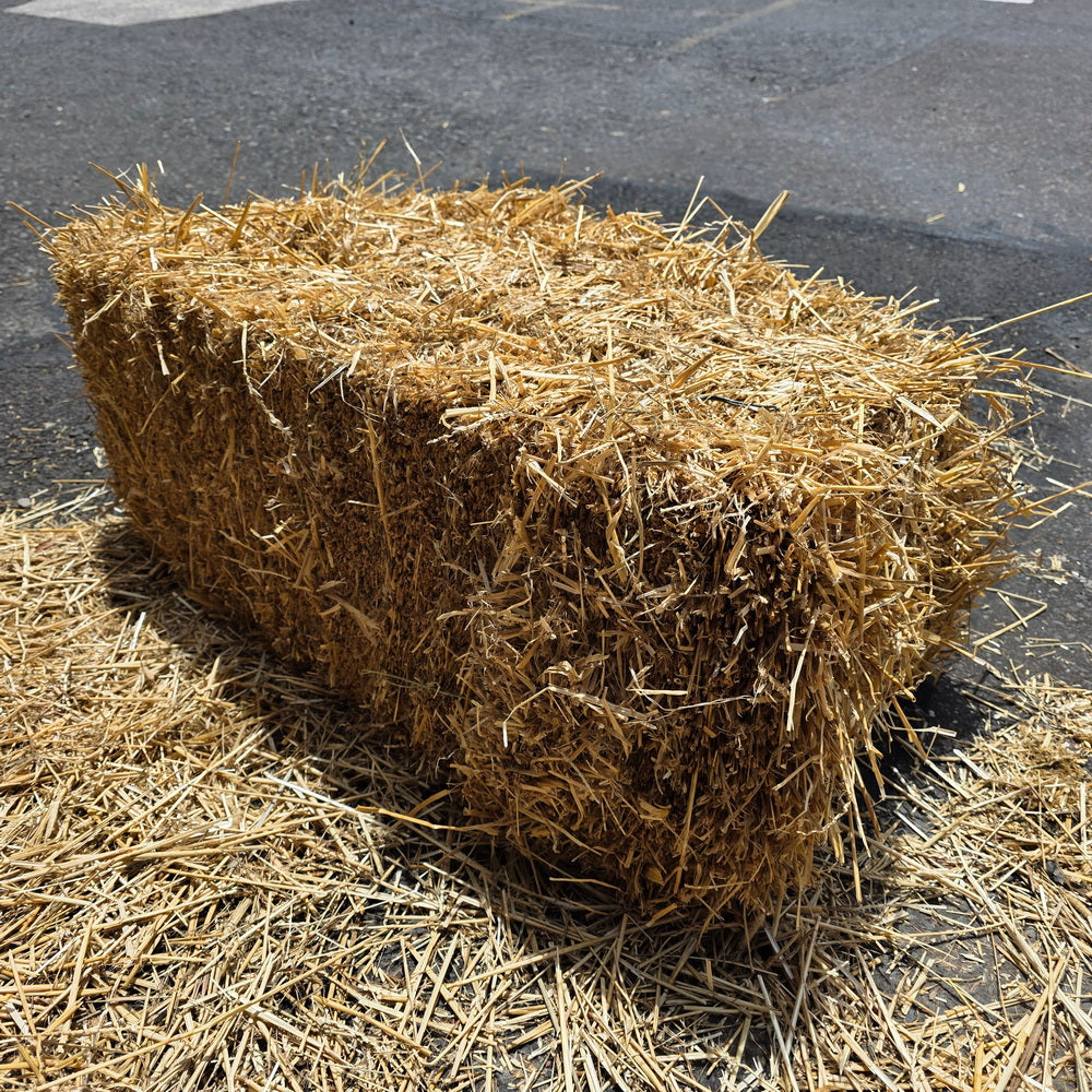 Straw Bale Large