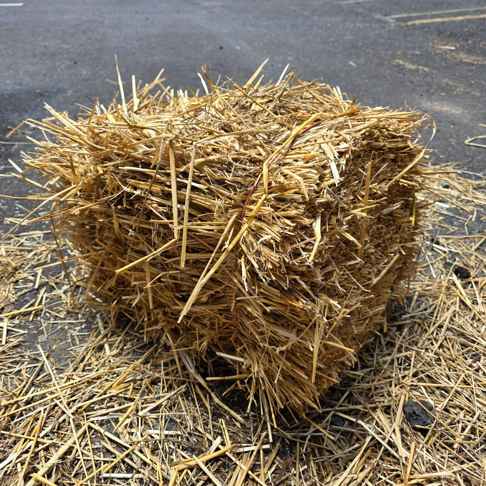 Straw Bale Medium