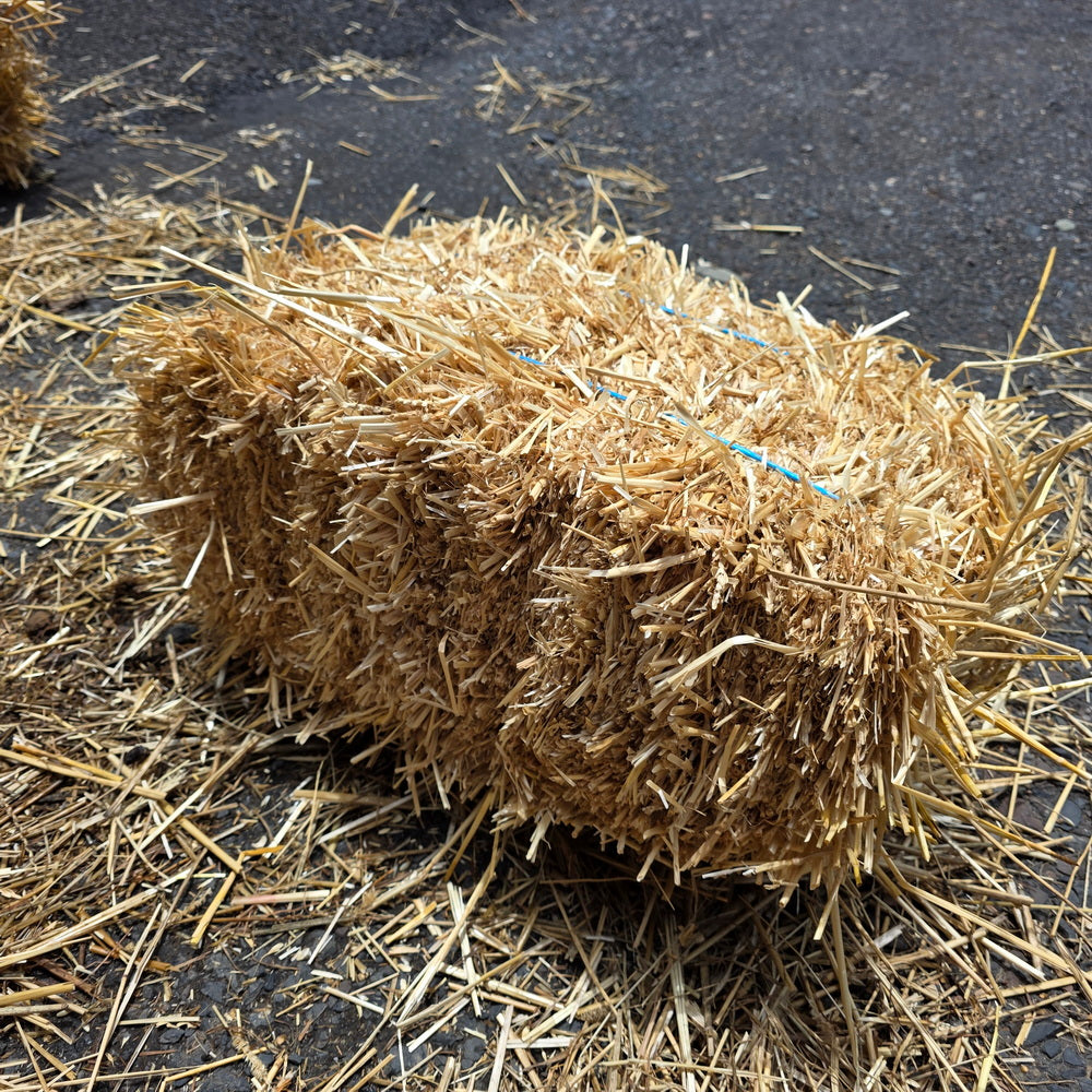 Straw Bale Small