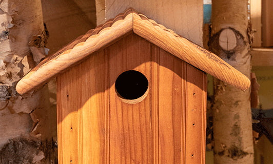 Bird Houses