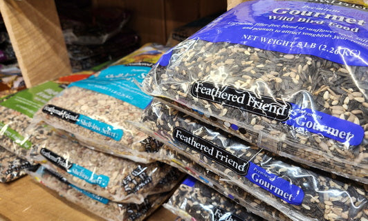 Bird Seed