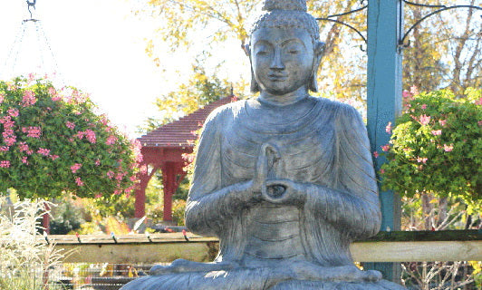 Zen Market