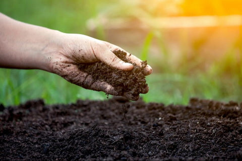 Soil & Compost