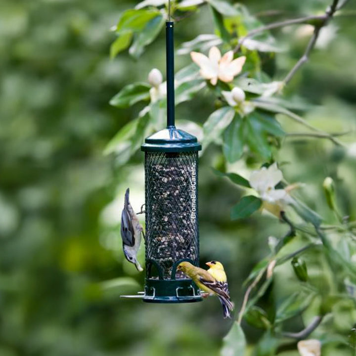 Squirrel Buster Mini Feeder