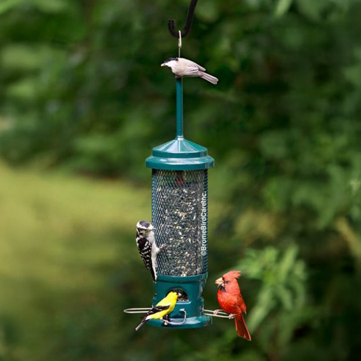 Squirrel Buster Legacy Feeder