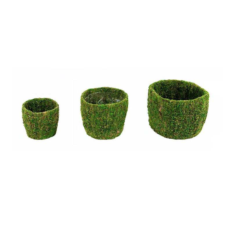 Creekside Deco Moss Basket