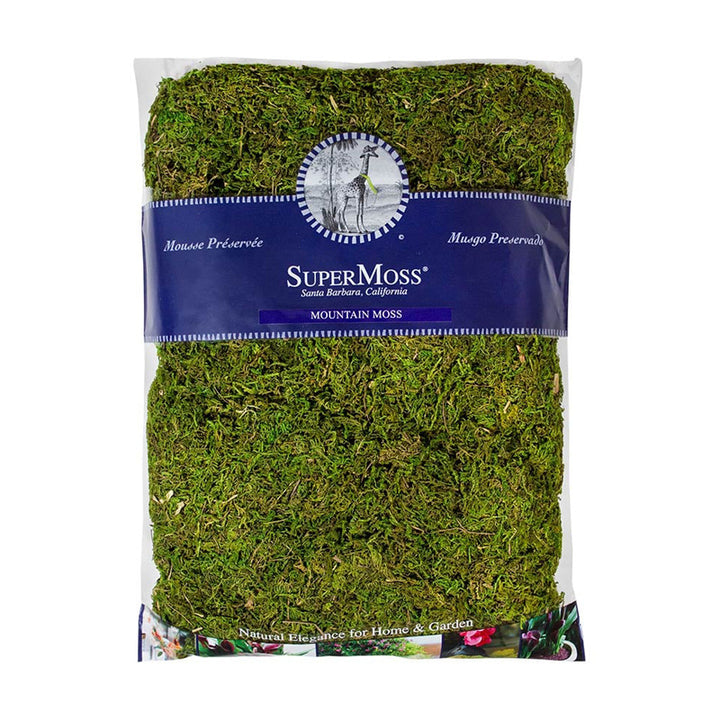 Mountain Moss Preserved 534 cubic inches