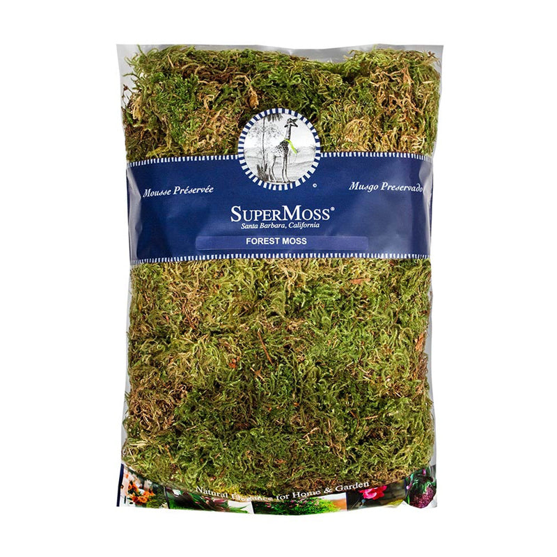 Forest Moss Dried