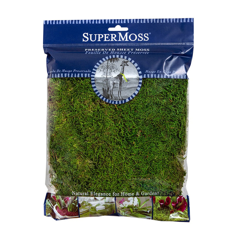 Preserved Sheet Moss