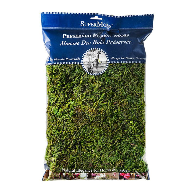 Forest Moss Preserved 325 cubic inches