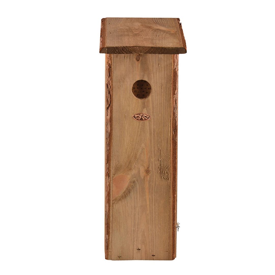 Woodpecker House, Brown